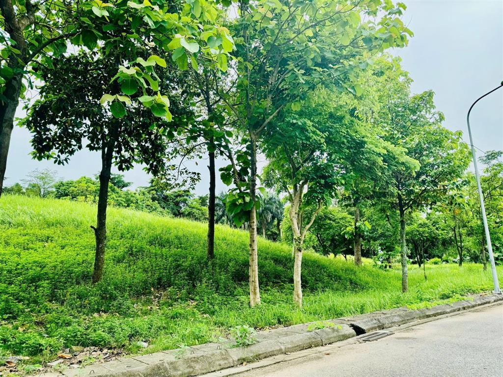 Cần bán lô biệt thự 230m2 khu đô thị ngôi nhà mới sẵn nhà xây thô giá hợp lý.  0982 111 ***