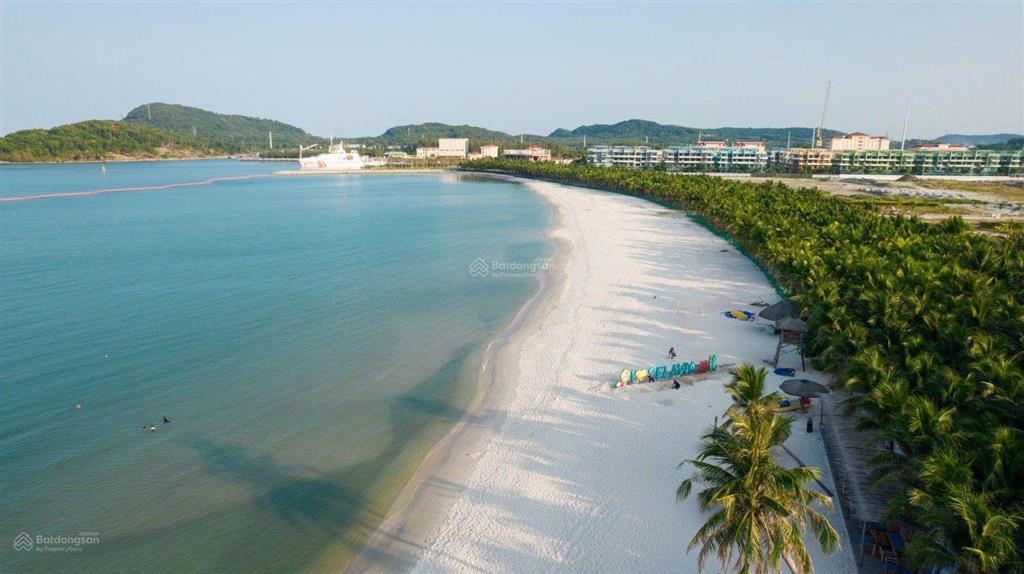 Ttc mở bán phân khu hấp dẫn nhất, căn hộ condotel 1pn, 1vs tại selavia bay phú quốc, 1,6 tỷ, 31m2