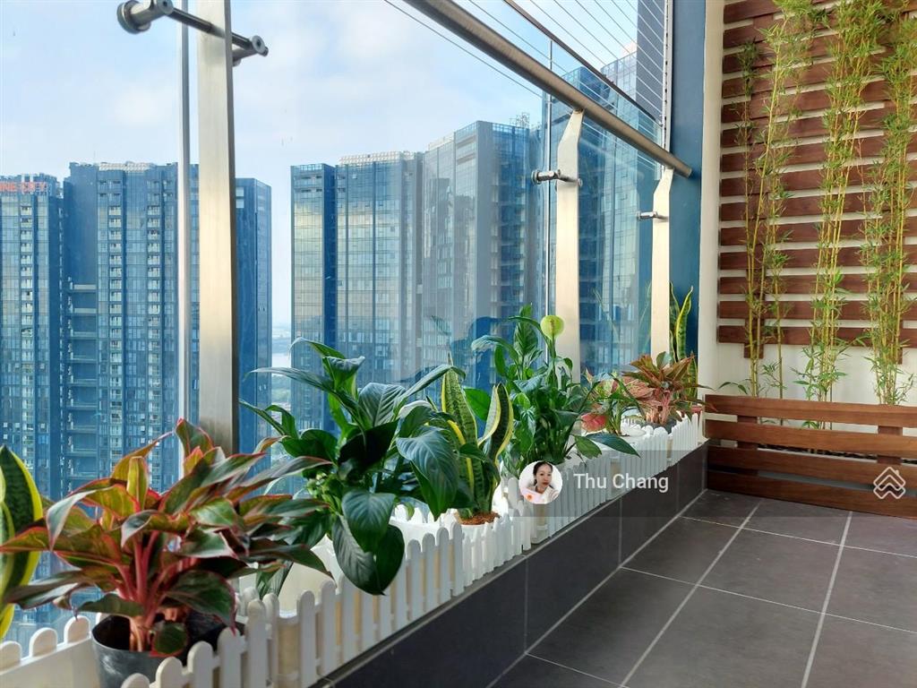 Cập nhật giá thuê chung cư sunshine city tháng 4/2026