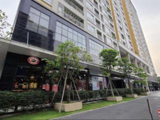 Cho thuê nhanh căn shophouse căn góc mặt tiền đường phổ quang 47m2 chỉ 35tr/tháng tại the botanica