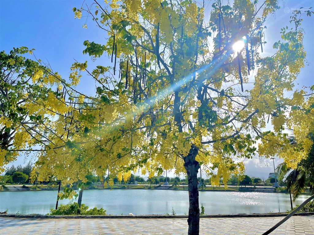 Sở hữu nền golden bay ven biển giá chỉ 21tr/m2 hướng đông nam  0333 718 ***em phượng
