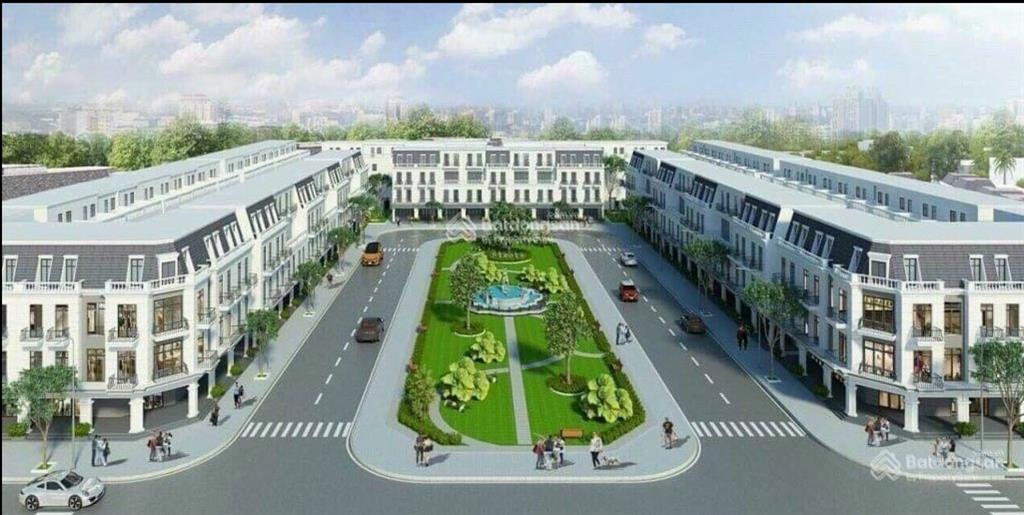 Chỉ duy nhất 1 lô para grus cam ranh giá tốt nhất thị trường