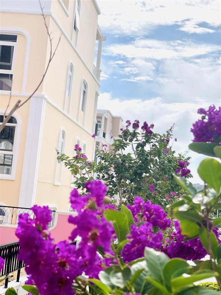 Parasol sổ đỏ trao tay, giá tốt nhất giỏ hàng chỉ hơn 5x tỷ