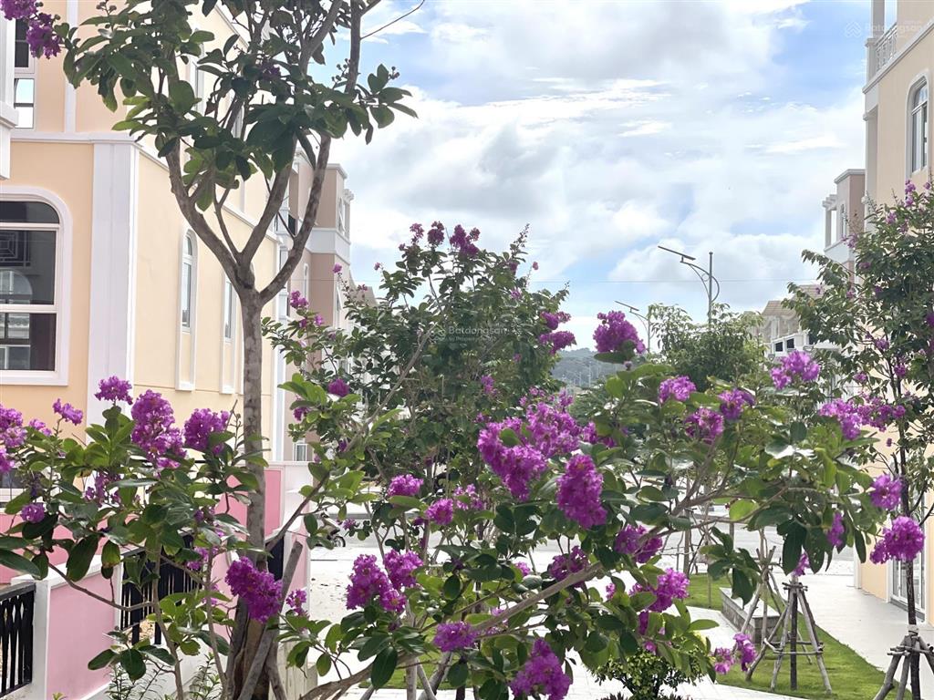 Parasol sổ đỏ trao tay, giá tốt nhất giỏ hàng chỉ hơn 5x tỷ