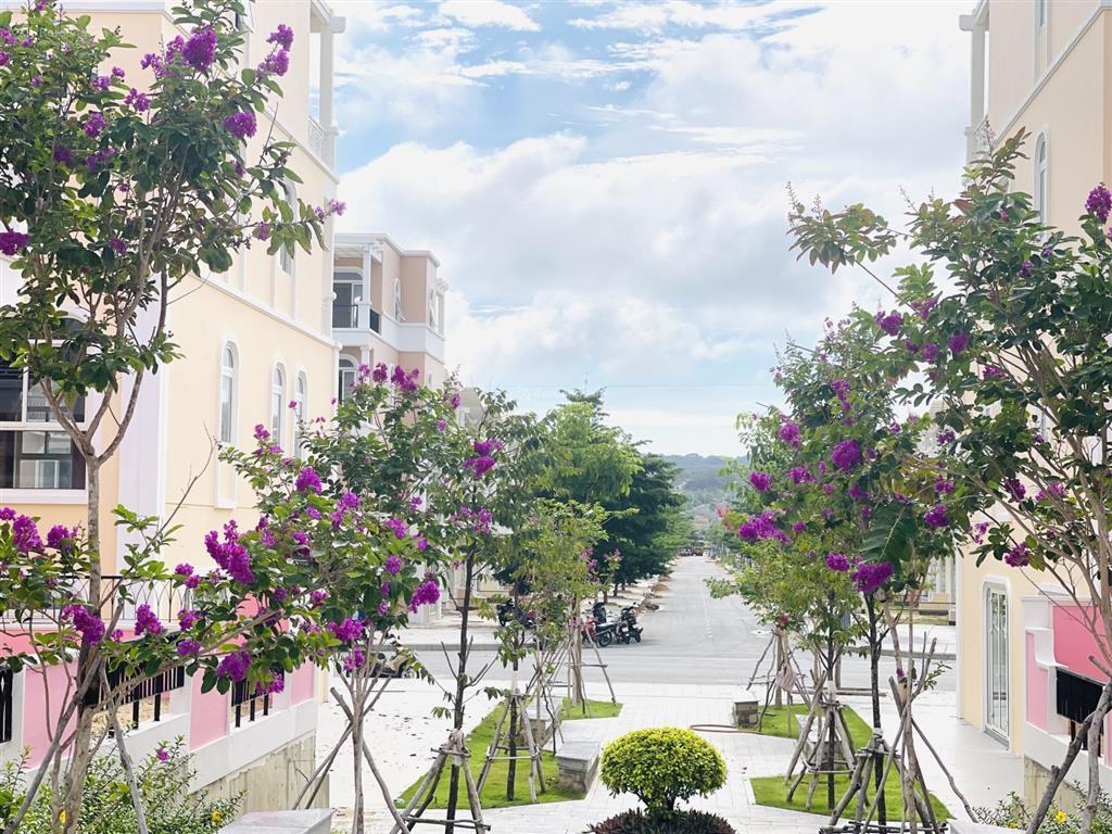 Parasol sổ đỏ trao tay, giá tốt nhất giỏ hàng chỉ hơn 5x tỷ