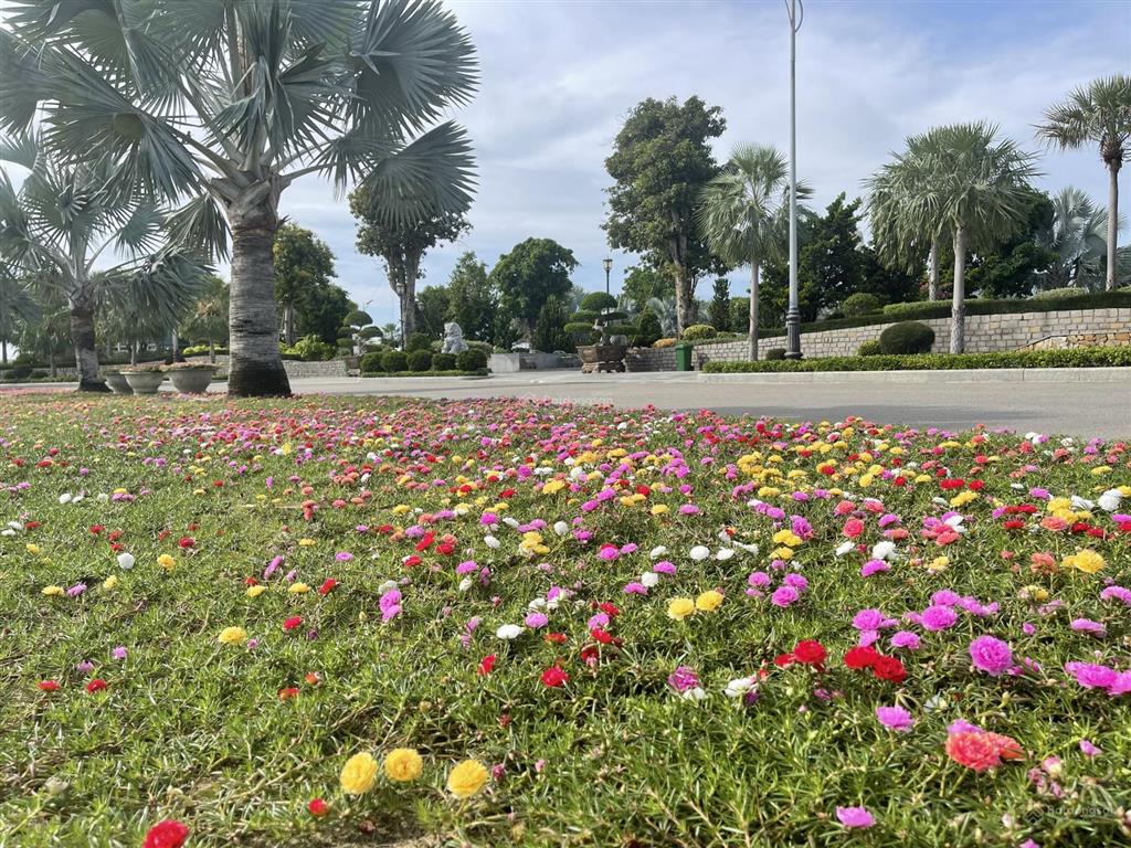 Parasol sổ đỏ trao tay, giá tốt nhất giỏ hàng chỉ hơn 5x tỷ