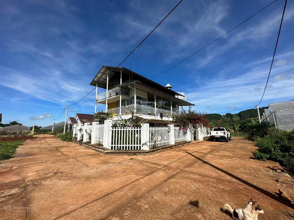 Nhà container đà lạt view đẹp, 3 mặt tiền tà nung, 278m2, 200m2 xây dựng, giá 5.5 tỷ