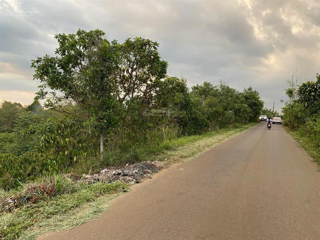 Bán lô đất 3 mặt tiền tại xã đinh trang hoà, huyện dinh linh, lâm đồng