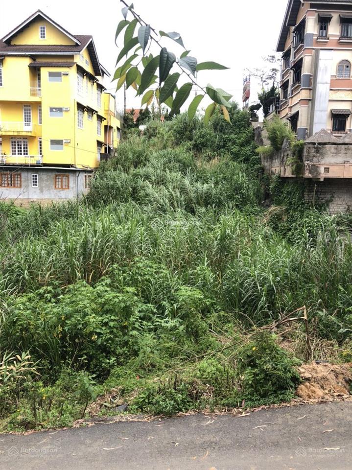 Cần bán lô đất có 1  0  2 mặt tiền đường 3/4, phường 3, đà lạt. gần 1500m2 đất full thổ cư