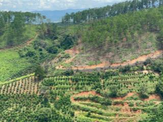 Bán đất mặt tiền đường an sơn, p4, đà lạt. đất đẹp view rừng thông chưa qua đầu tư