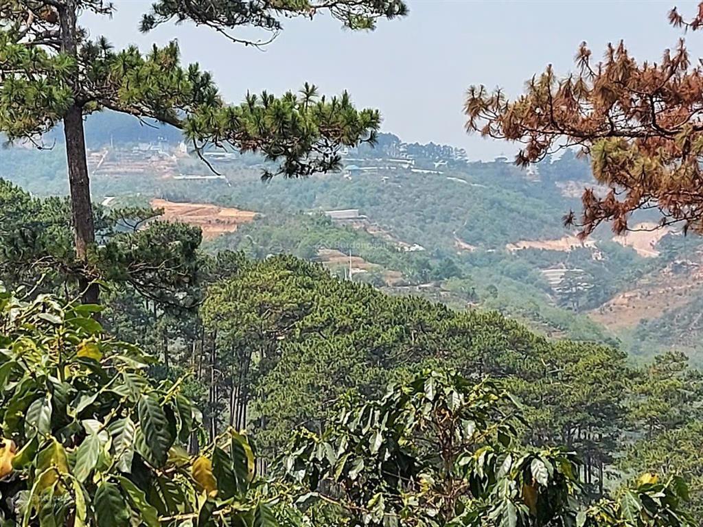 Đất 2ha xuân trường đà lạt gần ubnd 500m, đối diện rừng, ô tô 7 chỗ tới đất, giá 16 tỷ