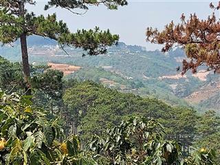 Đất 2ha xuân trường đà lạt gần ubnd 500m, đối diện rừng, ô tô 7 chỗ tới đất, giá 16 tỷ
