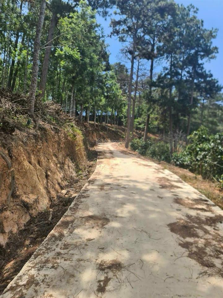 Đất 2ha xuân trường đà lạt gần ubnd 500m, đối diện rừng, ô tô 7 chỗ tới đất, giá 16 tỷ