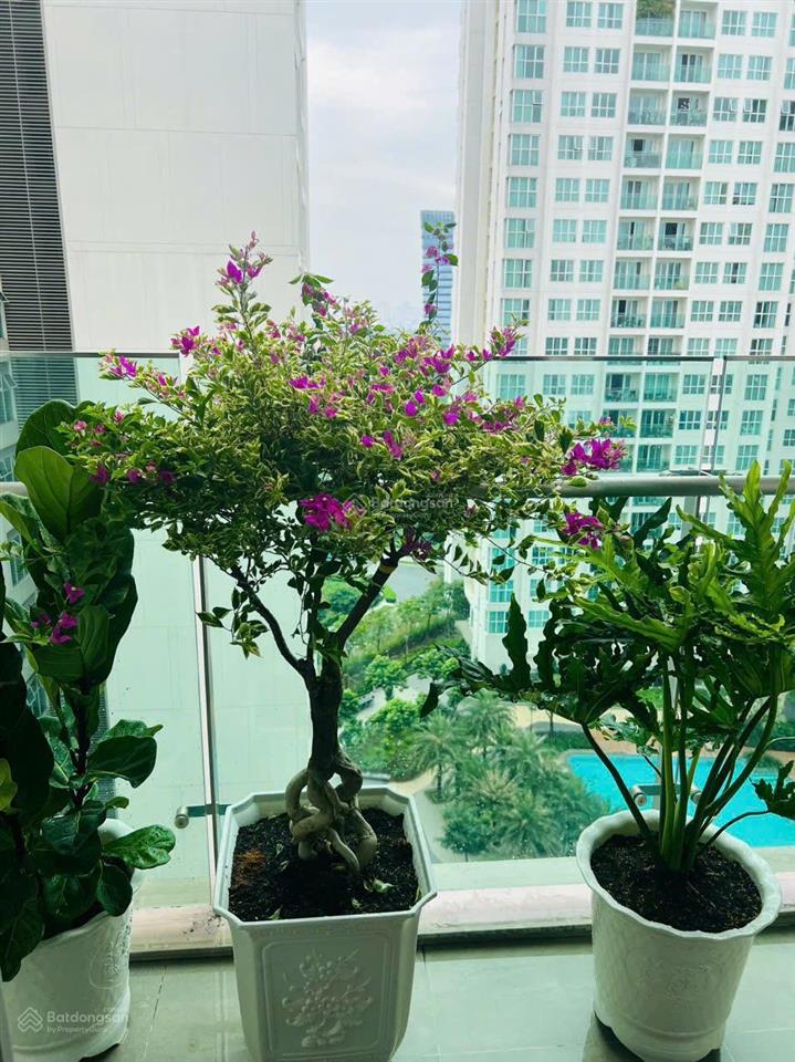 Căn hộ sadora sala 2pn  88m2 giá 25 triệu  full nội thất