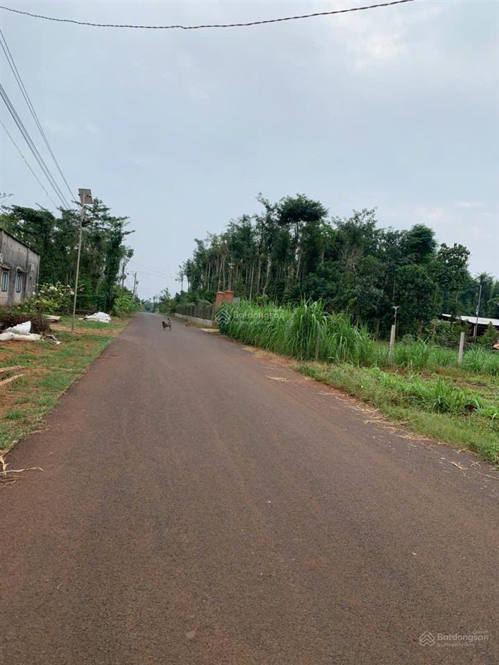 Bán đất diện tích 5379m2 đường nhựa khu dân cư giá 960tr sào xã ngã giao tp. hồ chí minh