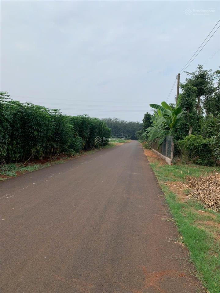 Bán đất diện tích 5379m2 đường nhựa khu dân cư giá 960tr sào xã ngã giao tp. hồ chí minh