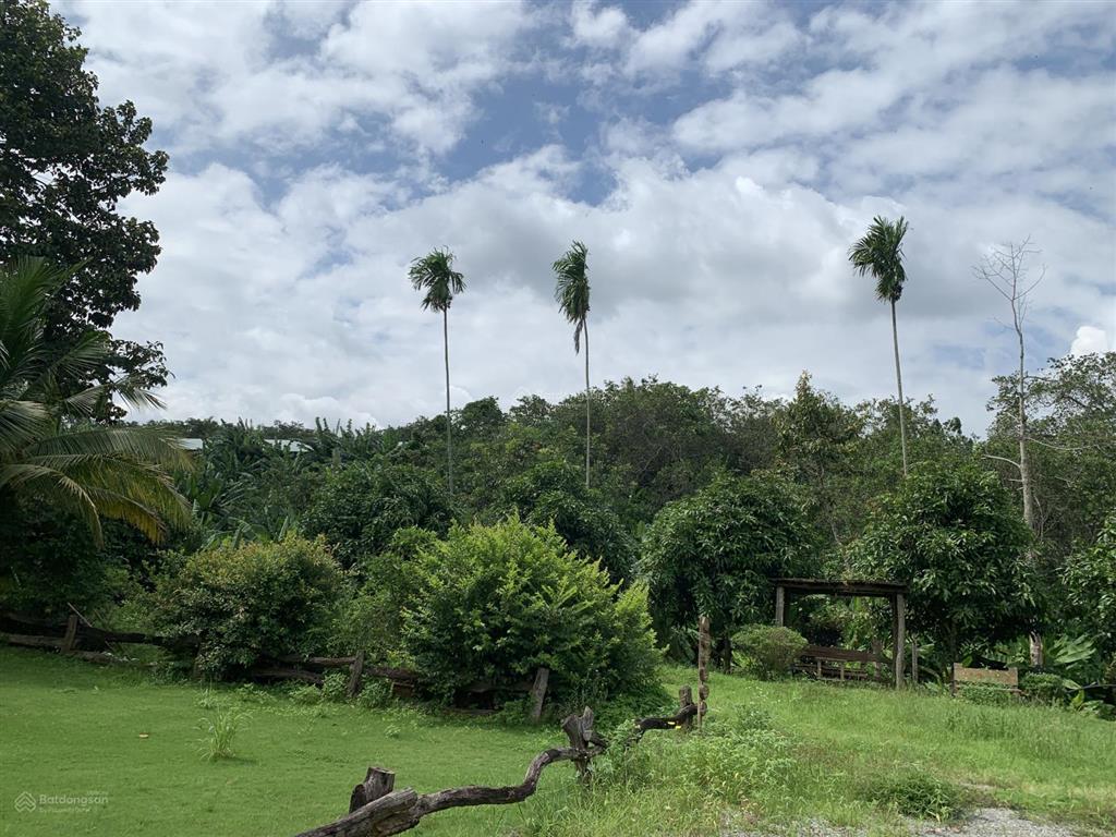 Bán đất diện tích 5379m2 đường nhựa khu dân cư giá 960tr sào xã ngã giao tp. hồ chí minh