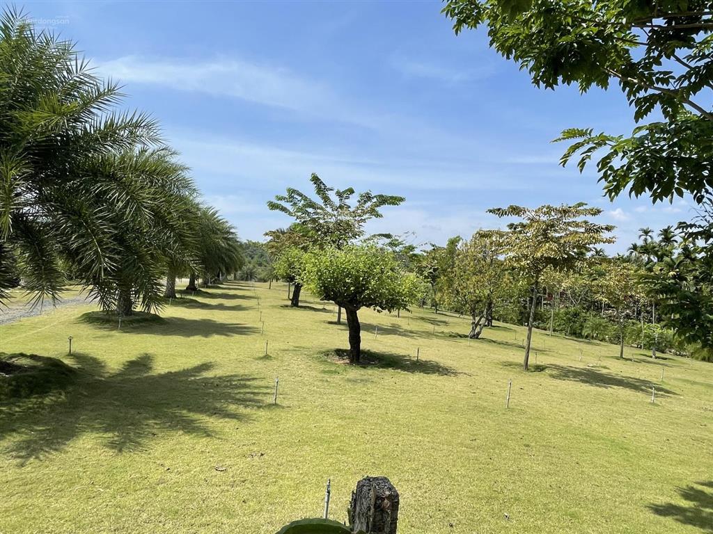 Bán đất view nghỉ dưỡng diện tích 27000m2 hồ suối rao đã làm hoàn thiện giá 54 tỷ