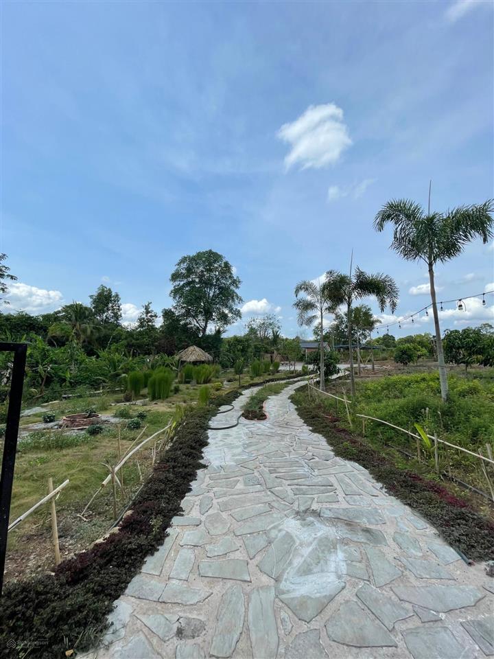 2650m2, 100m2 thổ cư 2 mặt tiền đường nhựa dài 70m, giá 5 tỷ 200