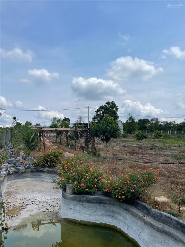 2650m2, 100m2 thổ cư 2 mặt tiền đường nhựa dài 70m, giá 5 tỷ 200