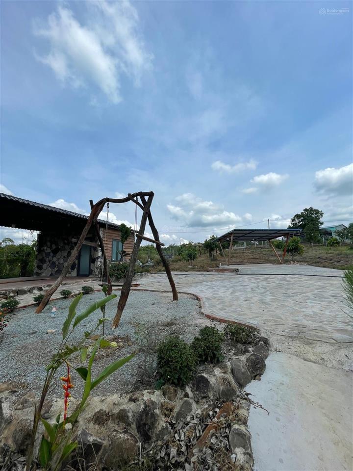 2650m2, 100m2 thổ cư 2 mặt tiền đường nhựa dài 70m, giá 5 tỷ 200