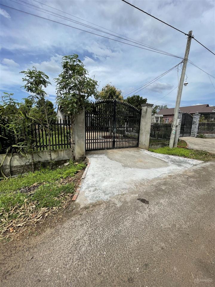 2351m2 nhà nguyên căn vườn cây các loại rào xung quanh, đường nhựa view hồ đá bàng giá 6 tỷ