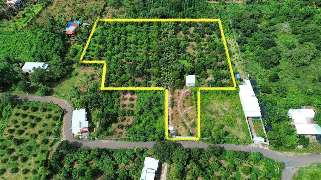 Bán 8000m2 100m2 thổ cư mặt tiền 20m xã kim long tp. hcm giá 12,5 tỷ