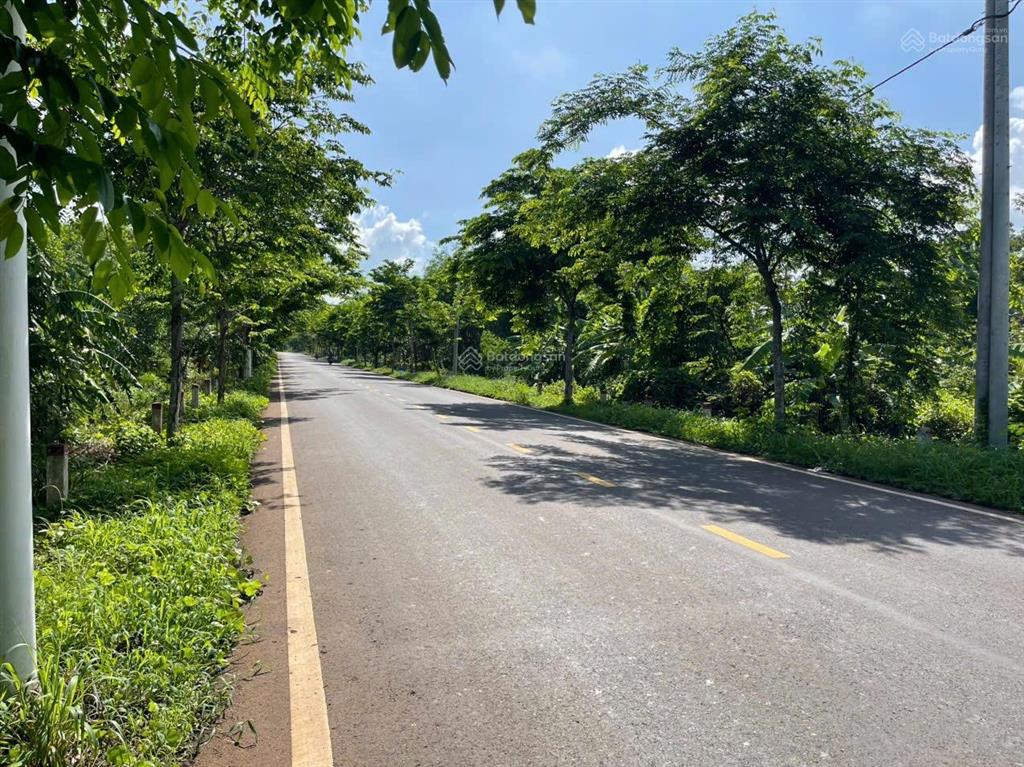 Bán đất sào diện tích 9300m2 có 300m2 thổ cư 100m2 mặt tiền giá 27 tỷ 500 xã ngãi giao. tp. hcm