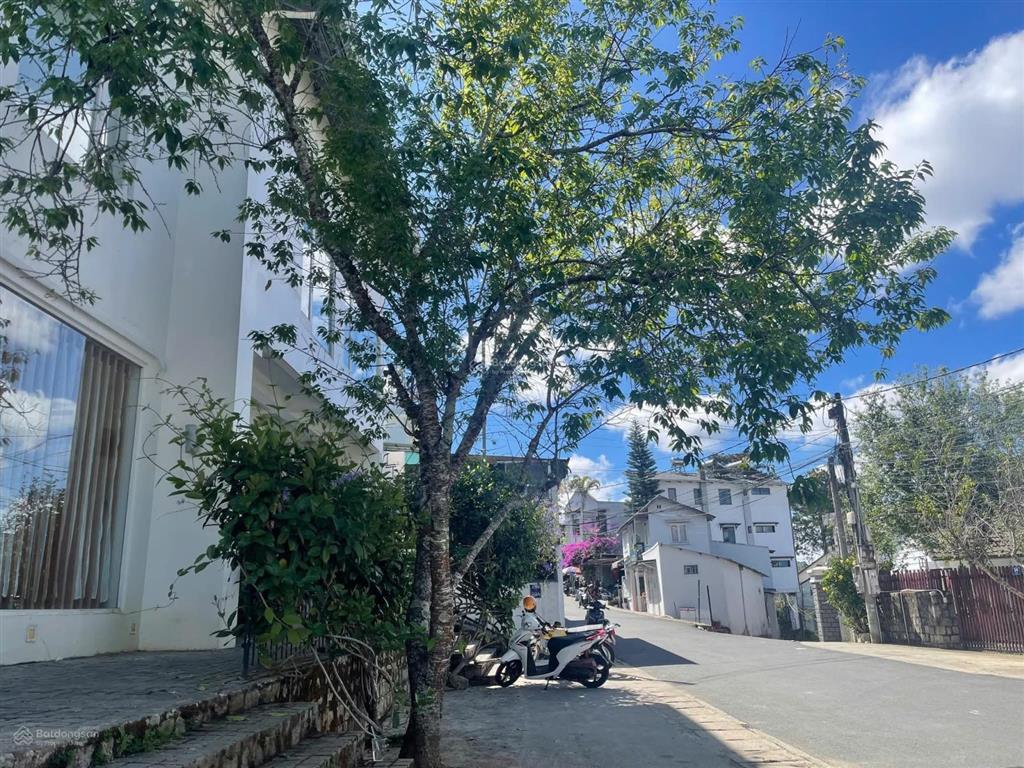 970m² lõi du lịch đà lạt, gần hồ xuân hương 200m ra dalat palace, phù hợp xây khách sạn 6080p