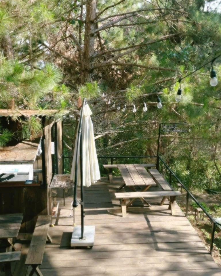Giảm 39 tỷ cho siêu phẩm 1.800m2 đối diện dinh 1 vua bảo đại  đà lạt