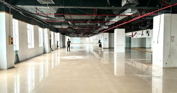 1200m2 cho thuê số 8 quang trung cho thuê văn phòng giá rẻ tốt