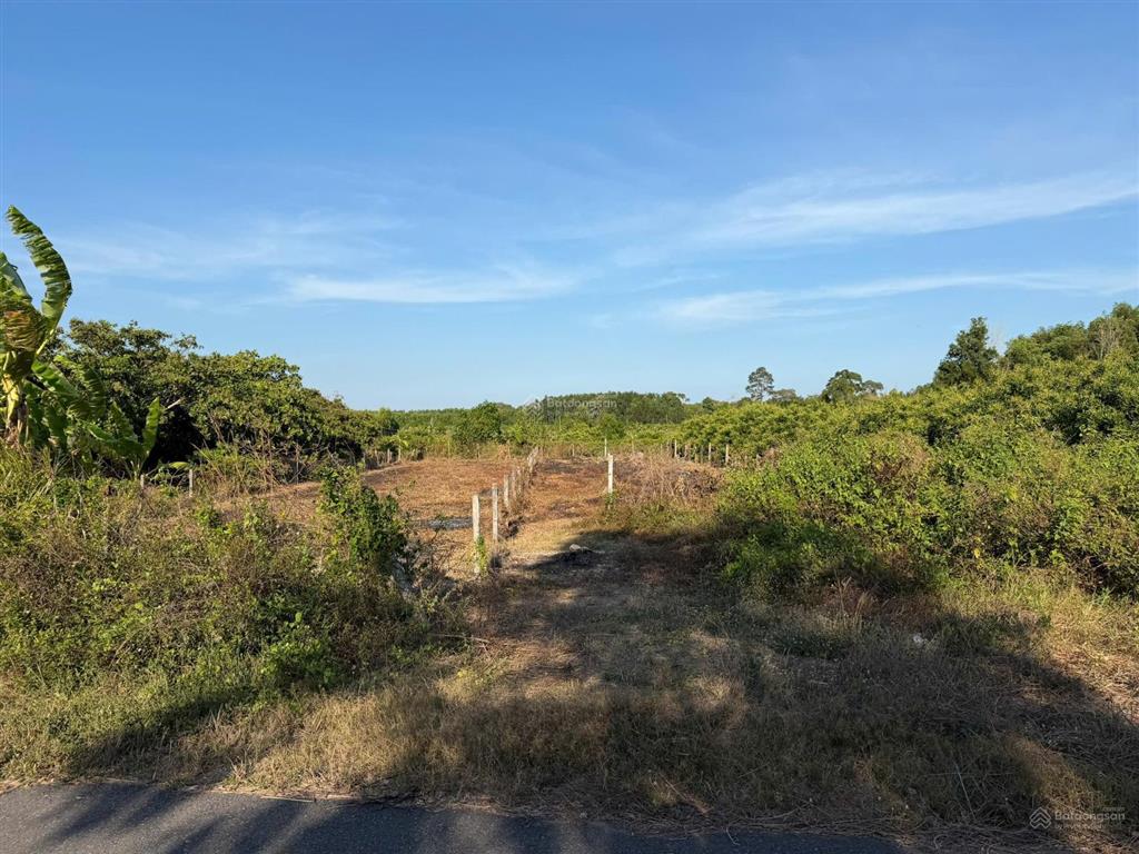 Bán đất nền trung tâm chính chủ tại hẽm 160 đ.hùng vương, 3,25 tỷ, 539,5 m2 cách biển hồ tràm ~5km