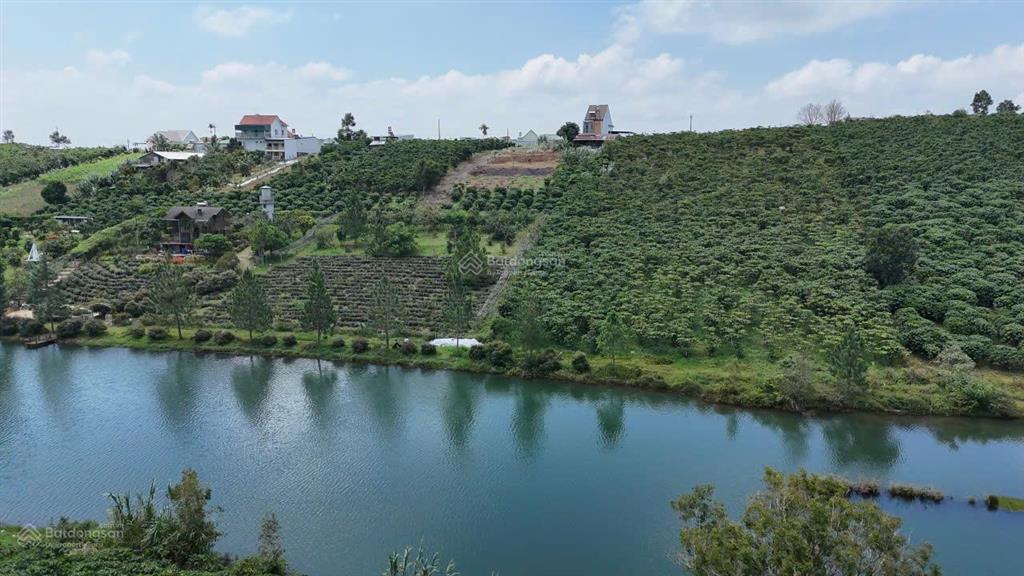 Bán đất view hồ bảo lộc  2.268m², mặt tiền hồ 44m, đường ô tô 6m, giá 3,3 tỷ