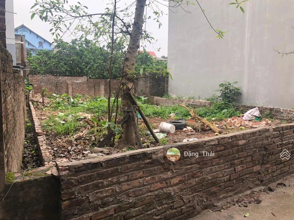 Bán nhanh đất lực canh đông anh giá rẻ 91,5m² mt 6,85m vuông vức bao đẹp gần vin tàm xá vin cổ loa