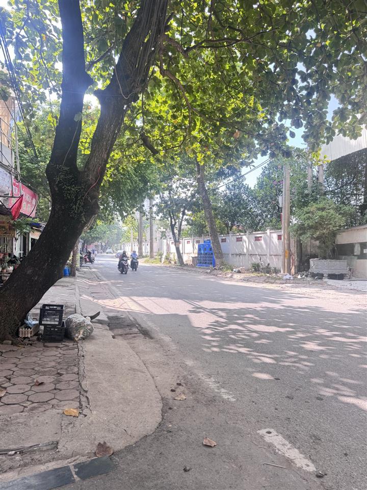 Bán đất hội phụ đông anh 80m ô tô tránh gần cầu tứ liên, vin cổ loa
