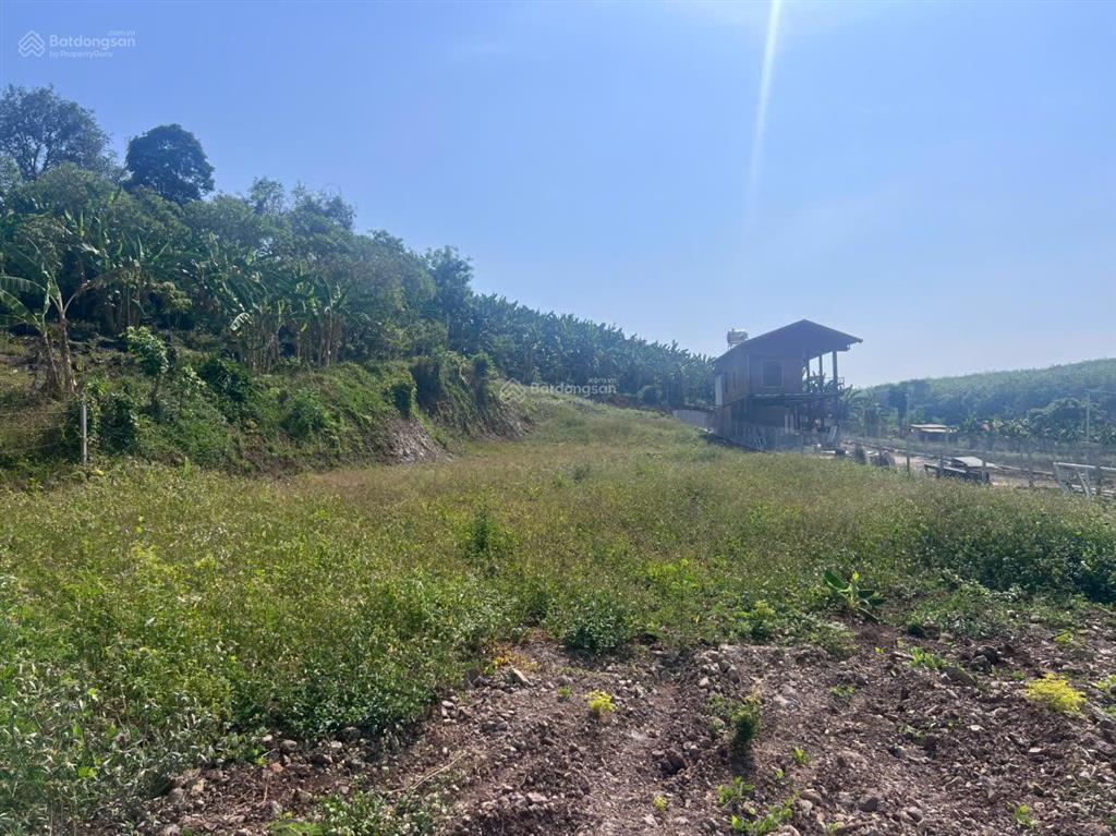 Bán nhanh lô đất xã kim long  tp hcm diện tích 1500m2, sổ hồng riêng 1.470 tỷ