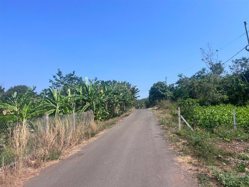Bán nhanh lô đất xã kim long  tp hcm diện tích 1500m2, sổ hồng riêng 1.470 tỷ