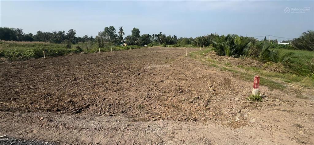 Bỏ phố về quê  sở hữu ngay siêu phẩm thổ cư view sông vàm cỏ tại bến lức, long an