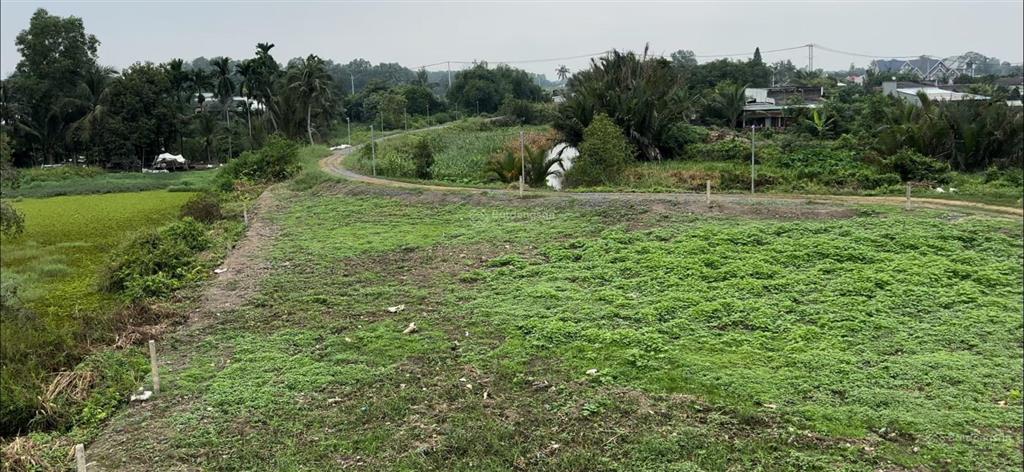 Bỏ phố về quê  sở hữu ngay siêu phẩm thổ cư view sông vàm cỏ tại bến lức, long an