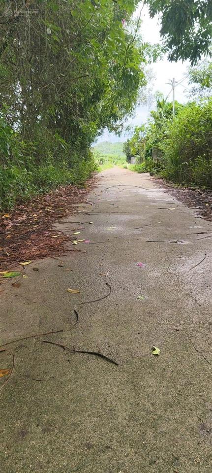 Chính chủ bán đất diên lâm khánh hòa  chỉ 780 triệu
