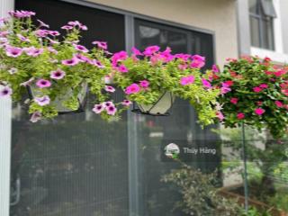 Cập nhật giỏ hàng thuê mới nhất và chi tiết nhất celadon city tháng 3/2026. nói không với giá ảo.