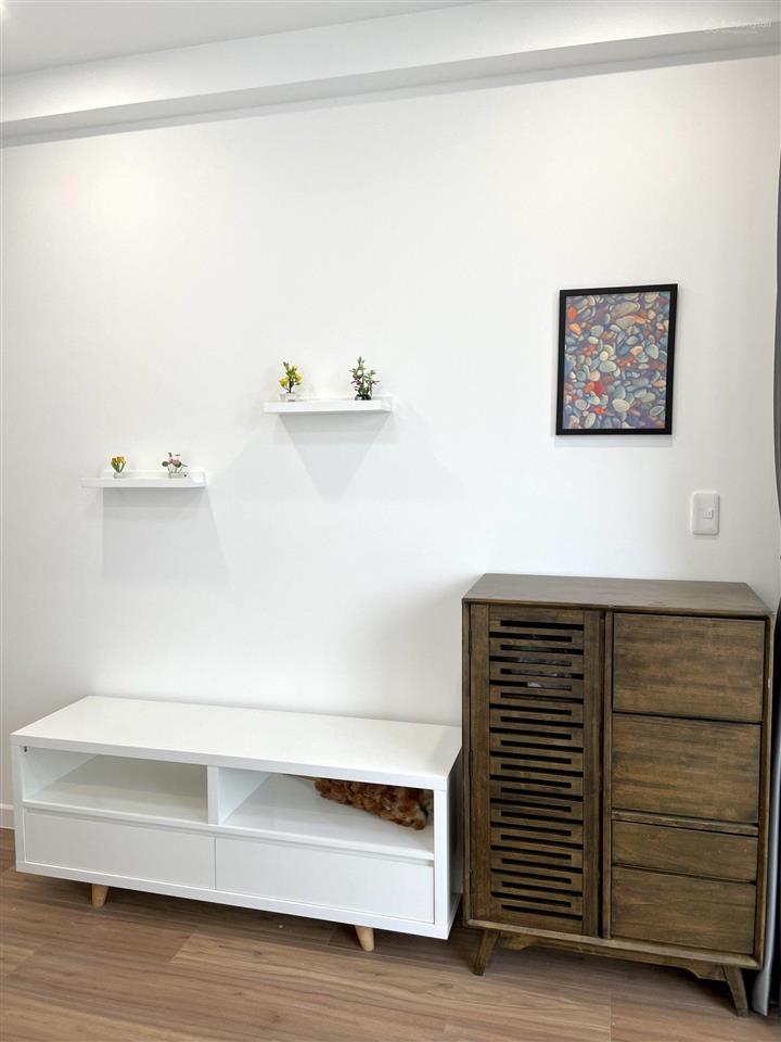 Cho thuê căn hộ 2pn 2wc 69m² full nội thất giá 17tr d'lusso