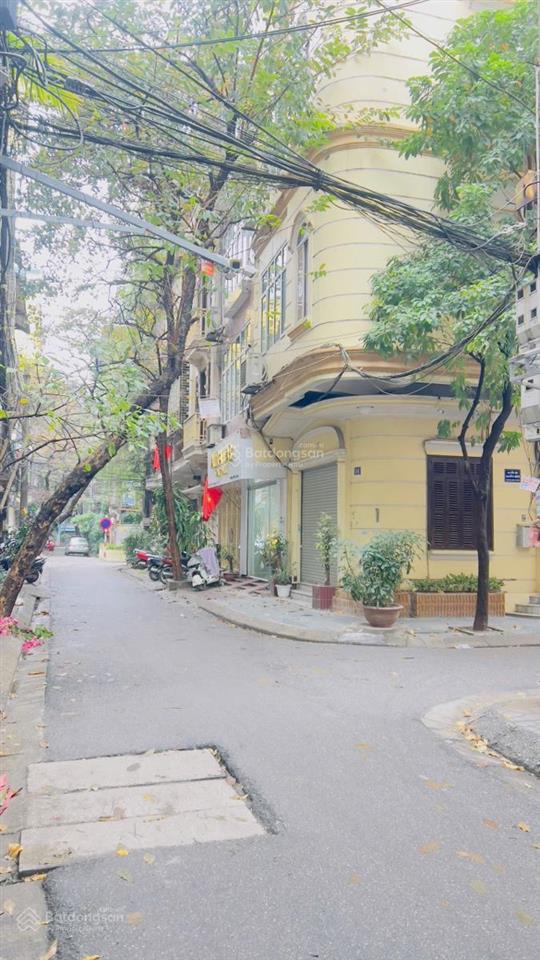 Phân lô nguyên hồng, ô tô tránh, kinh doanh, 60m2, sổ vuông đẹp, giá hơn 20 tỷ