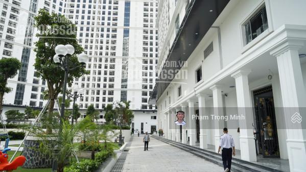 Bán gấp lô shophouse the emerald 167m2 2 tầng, sổ vĩnh viễn, hợp đồng thuê 55tr/tháng