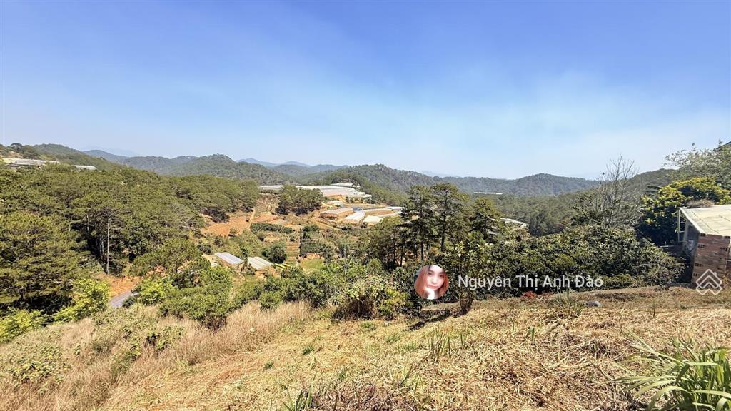 Đất săn mây xuân thọ phường xuân trường đà lạt