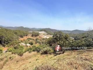 Đất săn mây xuân thọ phường xuân trường đà lạt