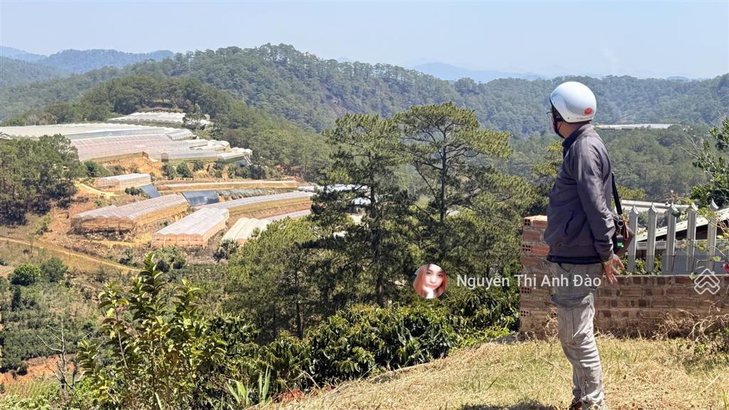 Đất săn mây xuân thọ phường xuân trường đà lạt