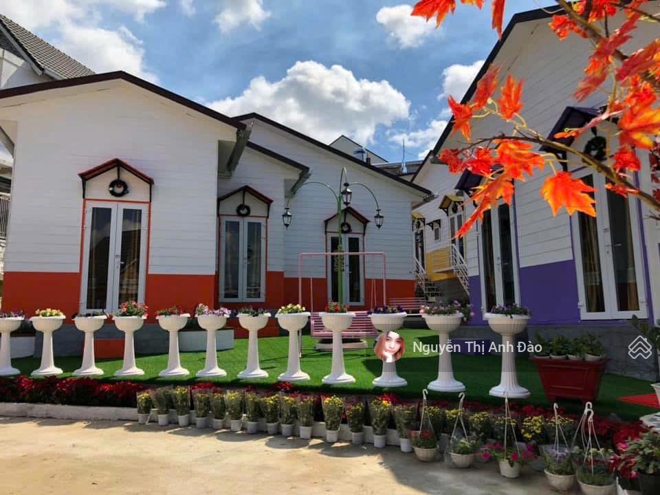 Bán đất tặng homestay đang kinh doanh tốt tại mặt tiền trạng trình, đà lạt