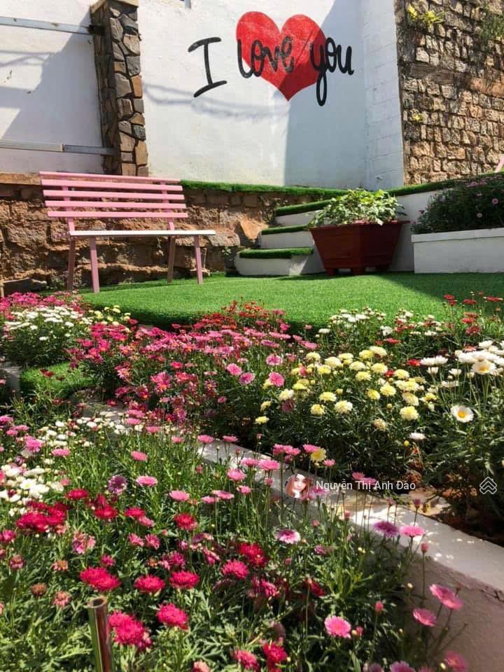 Bán đất tặng homestay đang kinh doanh tốt tại mặt tiền trạng trình, đà lạt