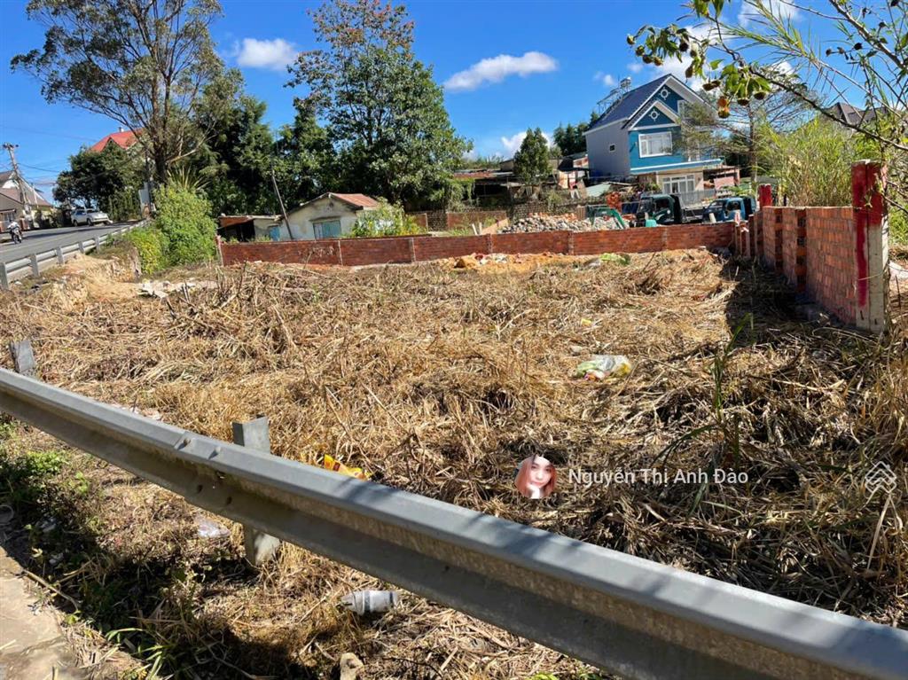 Đất đường triệu việt vương, phường xuân hương  đà lạt, tỉnh lâm đồng